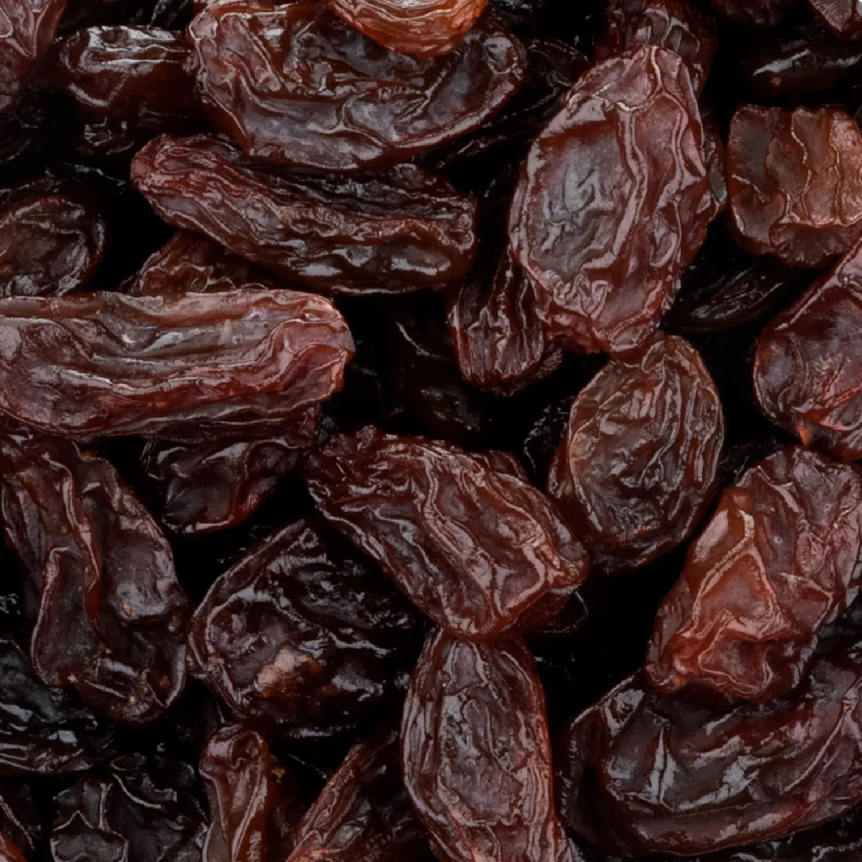No.1 raisins supplier in india